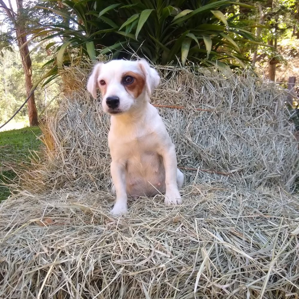 517f01d1-b83f-4008-ae4f-3f08e4af2673