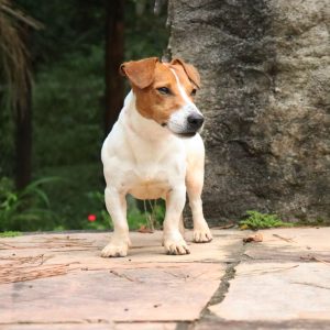 B5B7E531-500E-4DD5-B3A6-F4D7845C3B02 B5B7E531-500E-4DD5-B3A6-F4D7845C3B02