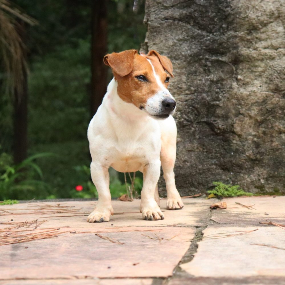 B5B7E531-500E-4DD5-B3A6-F4D7845C3B02