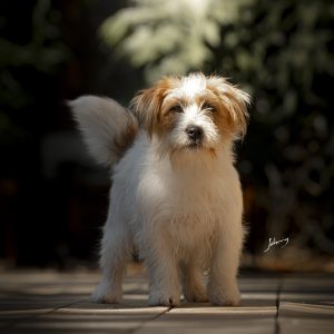 IMG_4074