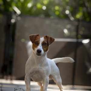 IMG_4082