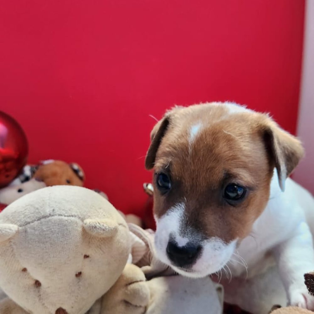 ba5fae69-ff8a-4e8f-9263-b10b56618079 ba5fae69-ff8a-4e8f-9263-b10b56618079