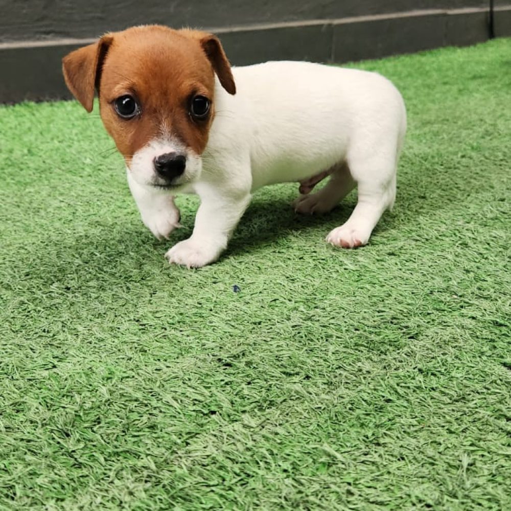 cf009192-94bc-40b4-a6f7-365916368c51